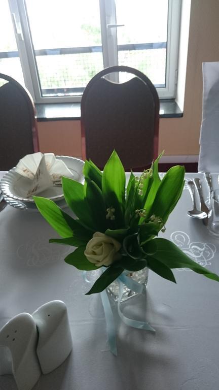 Hotel Hotel Plock 3*