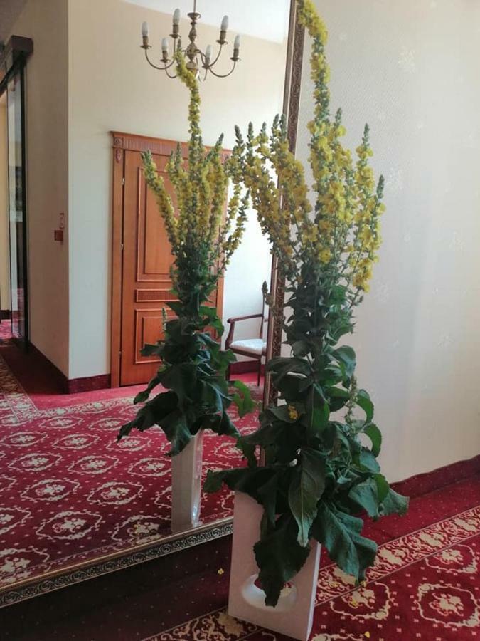 Hotel Hotel Plock 3*